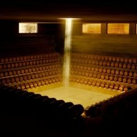 Partner A winery in Maremma Toscana designed by Renzo Piano photo